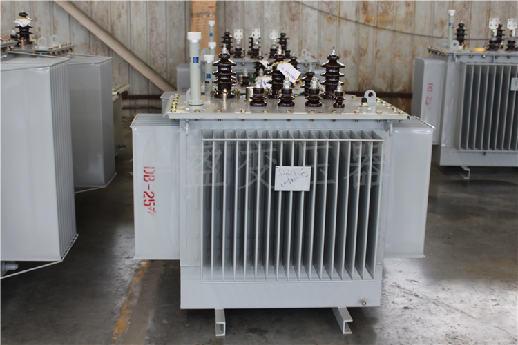 河源S20-800kVA/10kV/0.4kV变压器